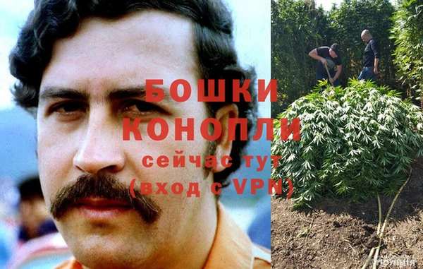 гидропоника Володарск